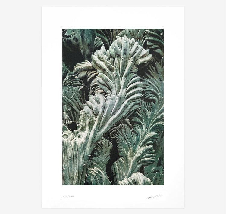 Bienvenue Studios - Plakat "Quiet Water N° 2"