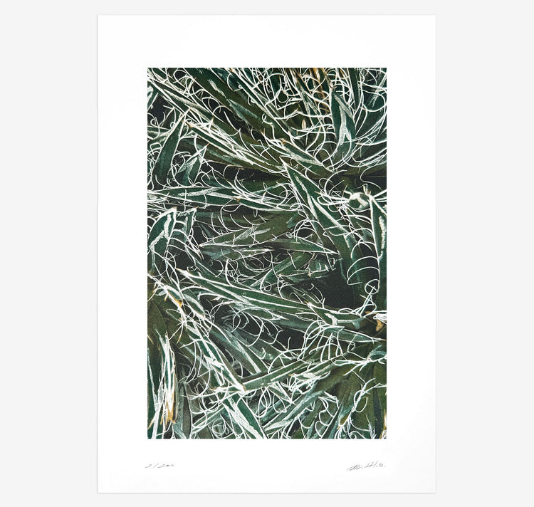Bienvenue Studios - Plakat "Quiet Water N° 3"