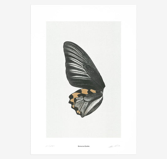 Bienvenue Studios - Plakat "Sun Fluttering N° 1"