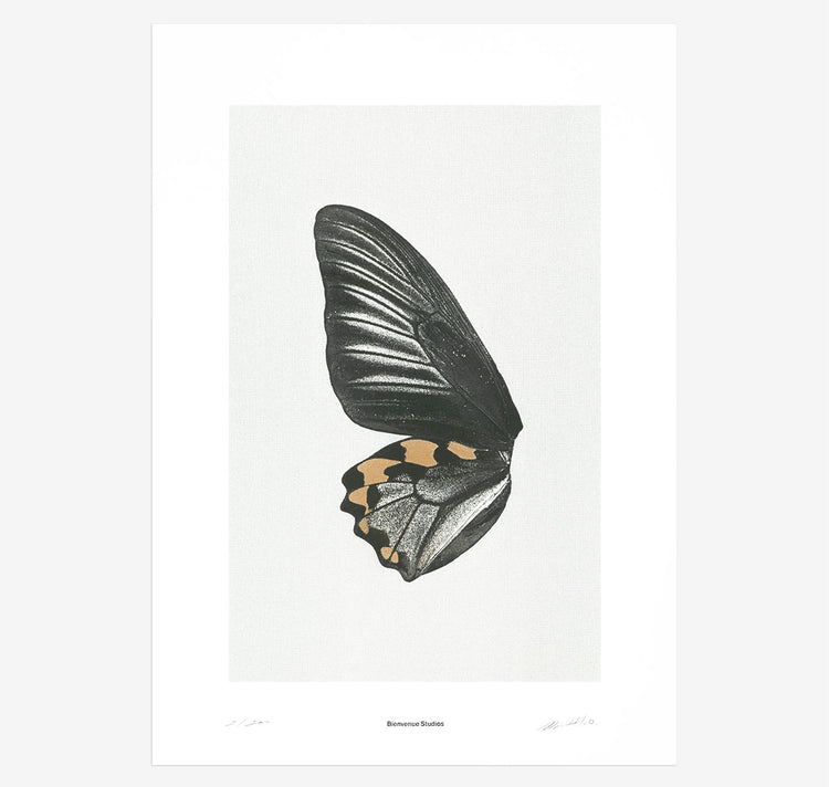 Bienvenue Studios - Plakat "Sun Fluttering N° 1"