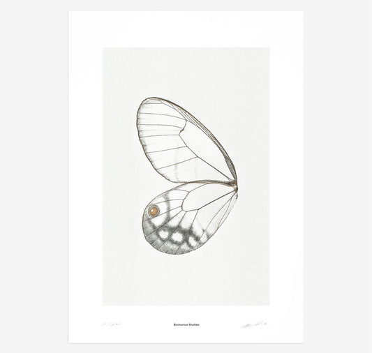 Bienvenue Studios - Plakat "Sun Fluttering N° 2"