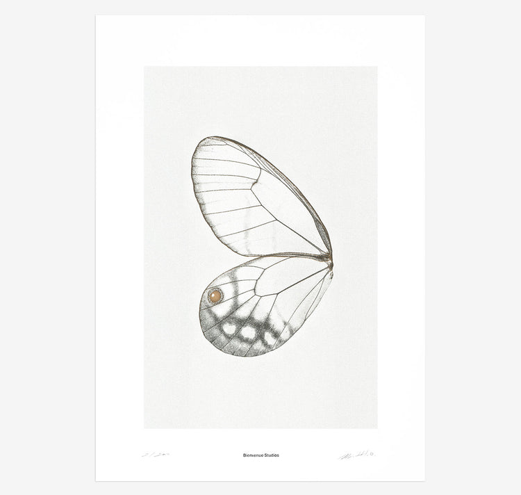 Bienvenue Studios - Plakat "Sun Fluttering N° 2"