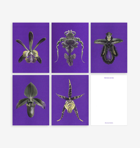Bienvenue Studios - Kartenset "N° 21 Floral Mimicry"
