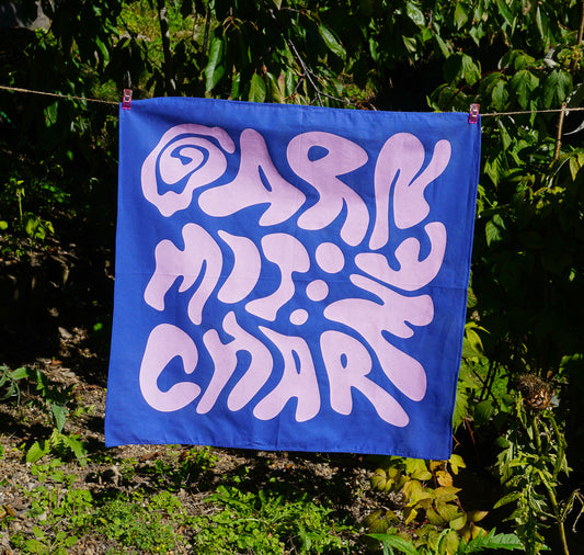 Garn mit Charme - Foulard (blau/rosa)