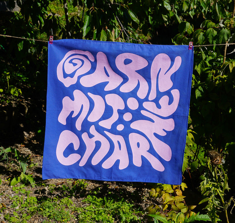 Garn mit Charme - Foulard (blau/rosa)