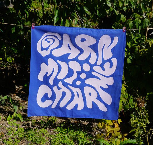 Garn mit Charme - Foulard (blau/weiss)