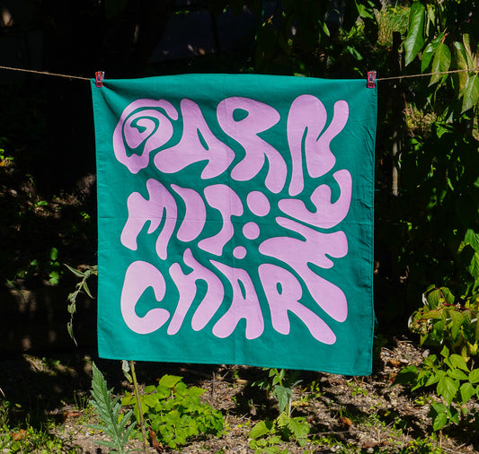 Garn mit Charme - Foulard (grün/rosa)