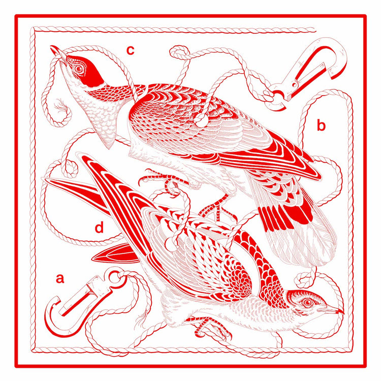 VOLTA x Simone Klimmeck - Foulard