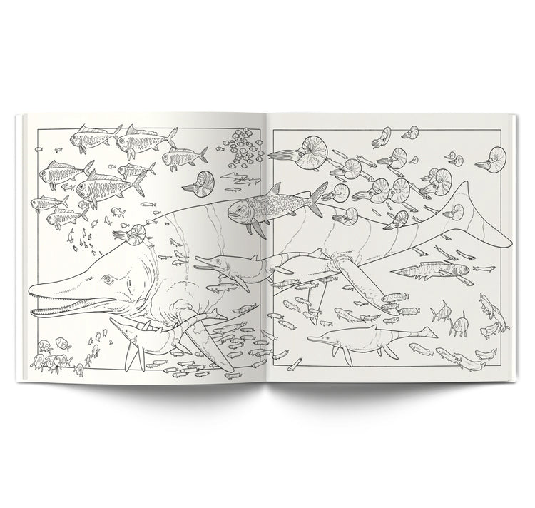 Jared Muralt - Ausmalbuch "Dinosaurier"