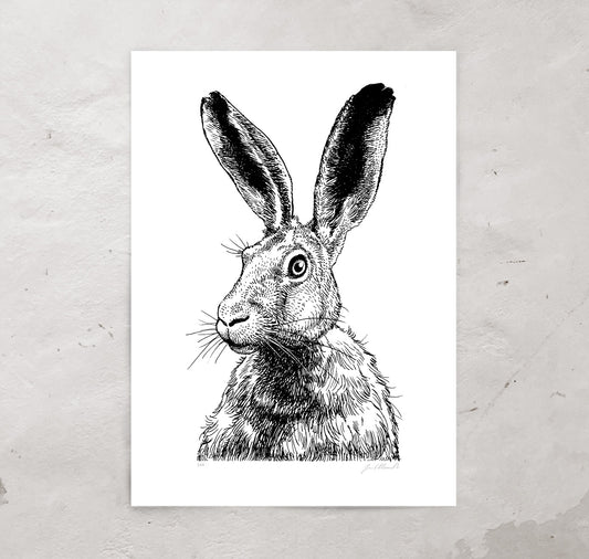Jared Muralt - Plakat "Hase"