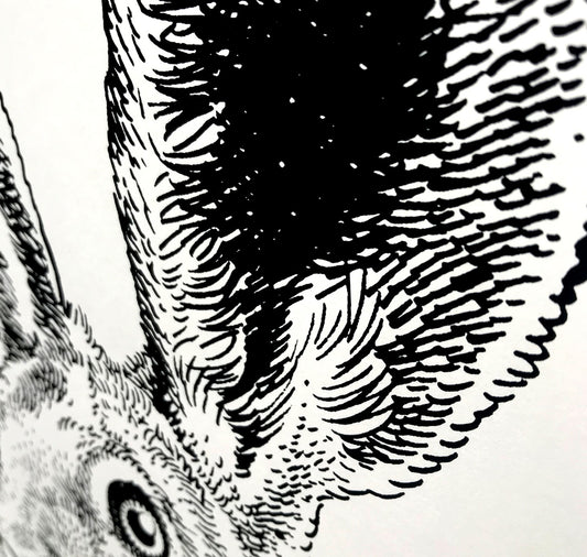 Jared Muralt - Poster "Rabbit" 