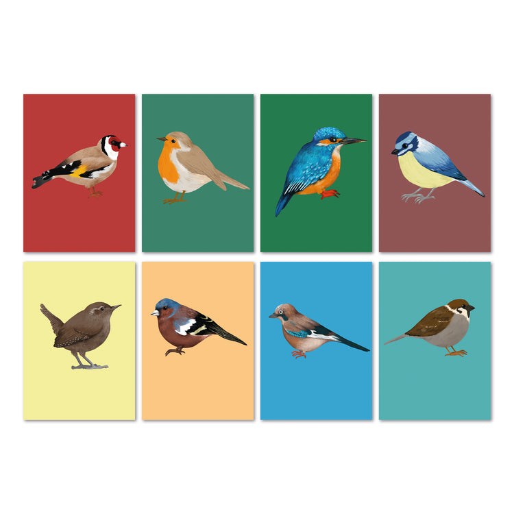 Jolanda Epprecht - Postkartenset "Vögel"