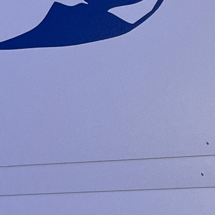 Jolanda Epprecht - Affiche "Vase Oiseau"
