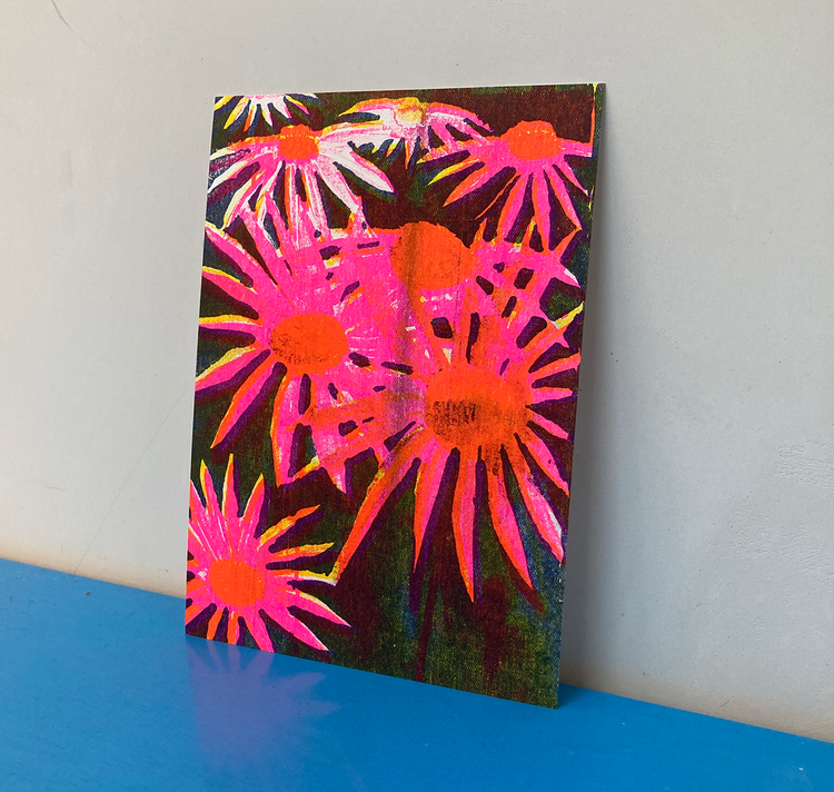 Anna Weber - Postcard "Echinacea"