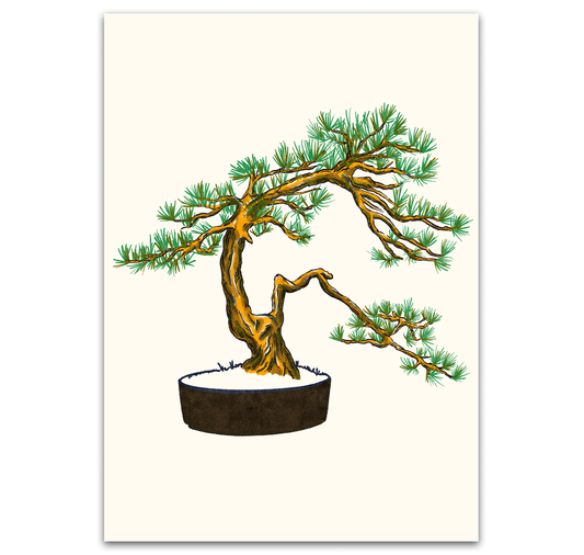 opak - Plakat "bonsai"