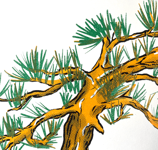 opak - Plakat "bonsai"