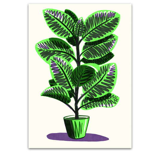 opak - Plakat "ficus"