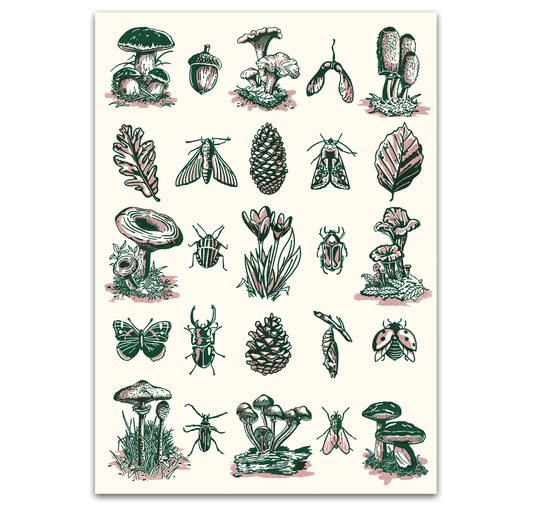 opak - Plakat "funghi"