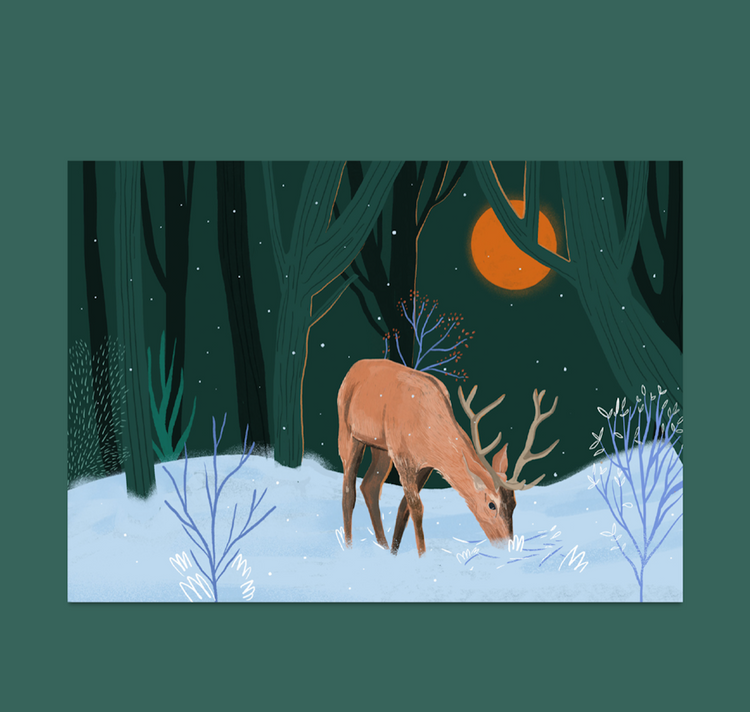 petrahilber - Postkarte "Hirsch" (2 Stück)