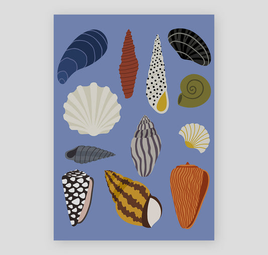 Lisa Voisard - Plakat "Muscheln"