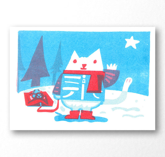 Plundernase - Coffret de cartes postales « Animaux d'hiver »