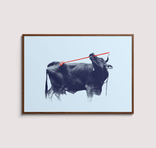 Kaspar Allenbach - Plakat "Kuh auf der Wiese"