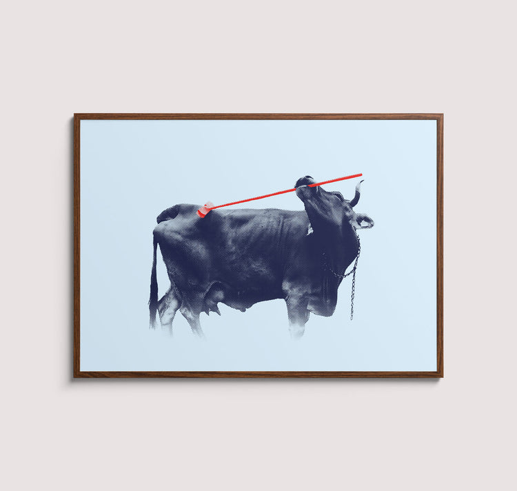 Kaspar Allenbach - Plakat "Kuh auf der Wiese"