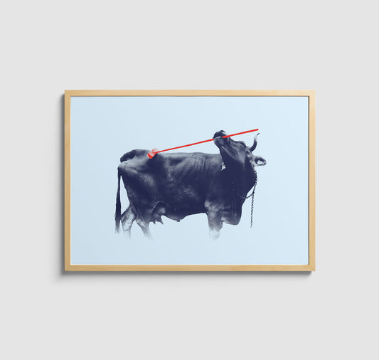 Kaspar Allenbach - Plakat "Kuh auf der Wiese"