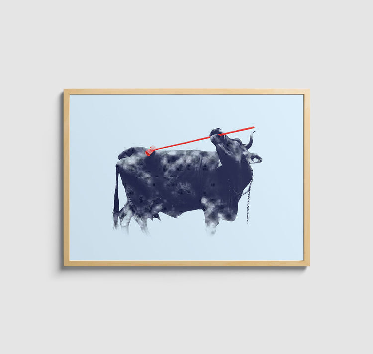 Kaspar Allenbach - Plakat "Kuh auf der Wiese"