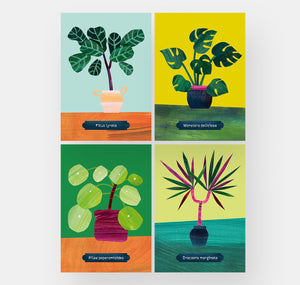 Takelwerk - Postkartenset "Zimmerpflanzen"