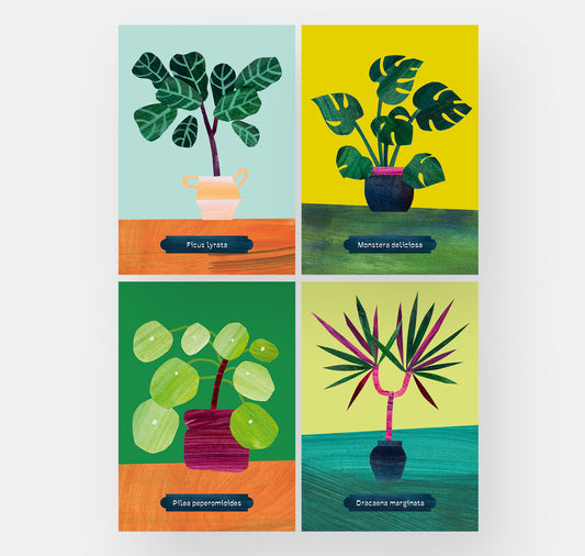 Rigging - postcard set "Houseplants"
