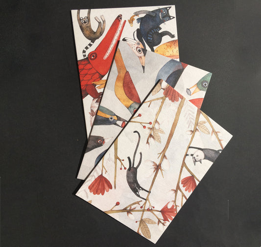 Nina Christen - ensemble de cartes postales