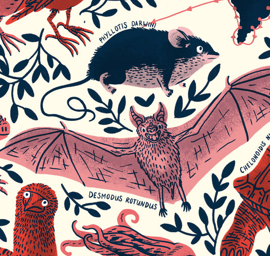 Eva Rust - Affiche "Le voyage du beagle de Darwin"