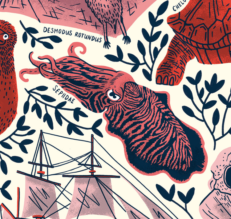 Eva Rust - Plakat "Darwins voyage of the beagle"