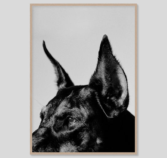 Edition3000 - Siebdruck von Cyrill Matter "Untitled"