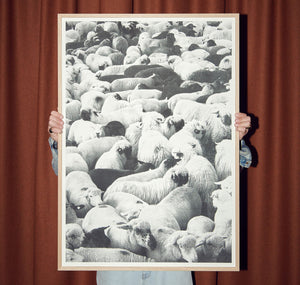 Edition3000 - Siebdruck von Phil Bucher "The Flock"