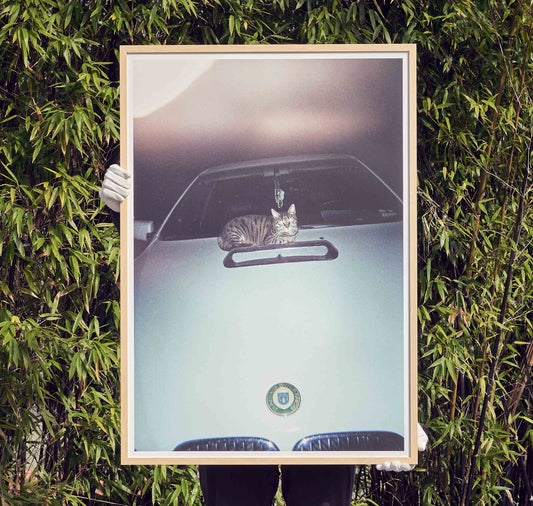 Edition3000 - Offset Print "Analog 4"