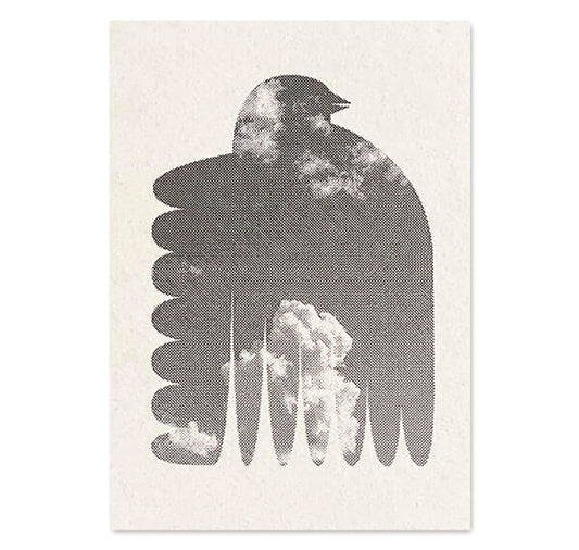 Clarissa Schwarz – Set di 3 cartoline "Uccello"