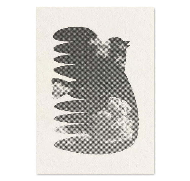 Clarissa Schwarz – 3er Postkarten Set "Vogel"