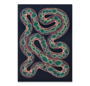 David Odermatt - Plakat "Snake"