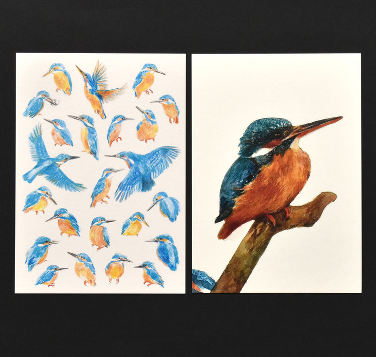 Mirjam Graser - Postcard Set "Kingfisher"