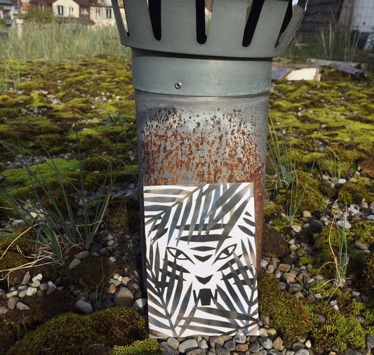 Claudia Wirth - Postkartenset "Safari"