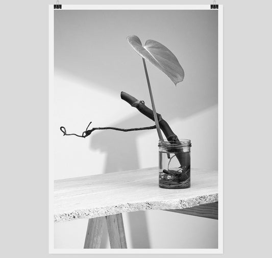 Edition3000 - Siebdruck "Hydra"