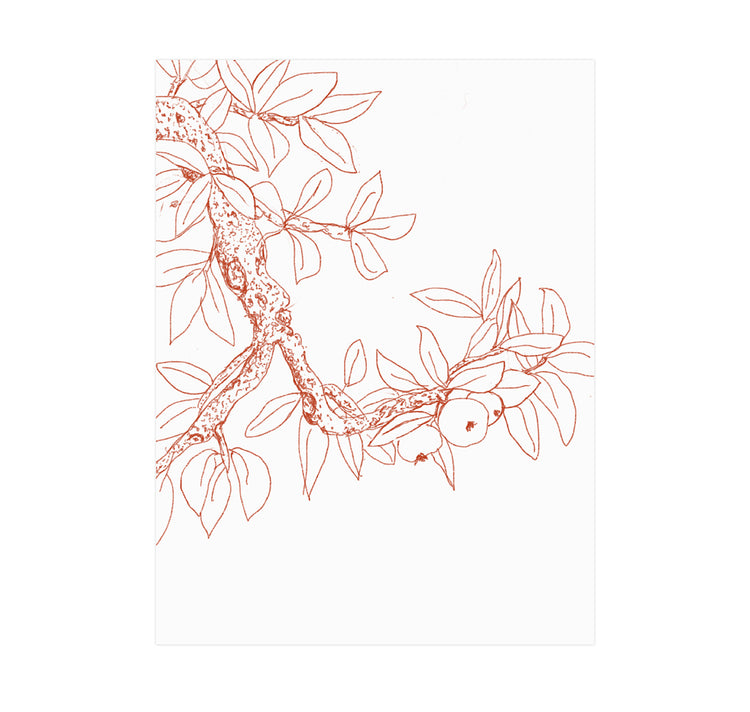 Iris Brugger - Postcard "Apple Tree"