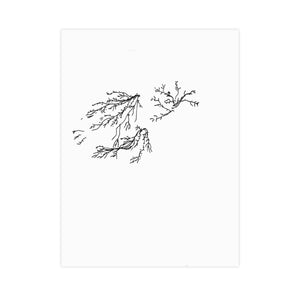 Iris Brugger - Carte postale "Arbustes d'hiver"