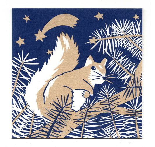 Jana Siegmund - Faltkarte "Eichhörnli"