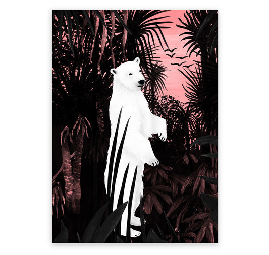 Lina Müller - Cartolina "Orso polare"