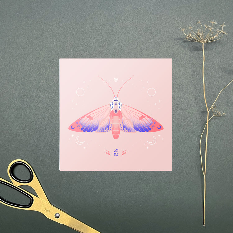 Sandra Staub - Postcard Set "Moths"
