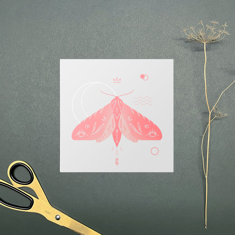 Sandra Staub - Postkartenset "Moths"