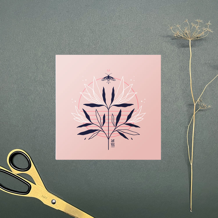 Sandra Staub - Set de cartes postales "Mites"